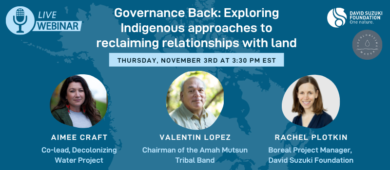  Governance Back: Exploring Indigenous approaches to reclaiming relationships with land 